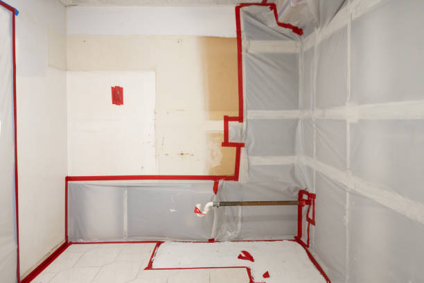 Best Mold Removal for HVAC Installations  in Port Ewen, NY