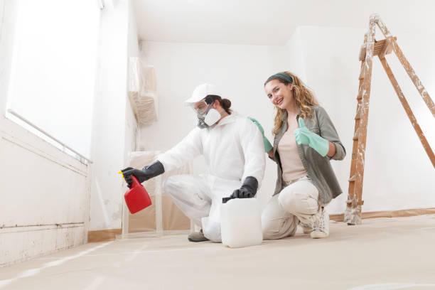 Environmental Consulting for Mold Prevention in Port Ewen, NY